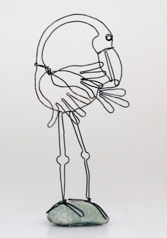 vták drôtený preberajúci si perie