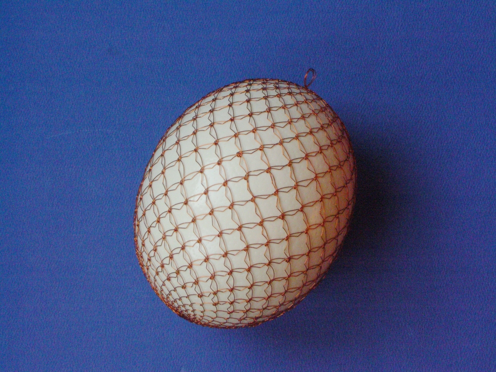 kraslica odrôtovaná pštrosia