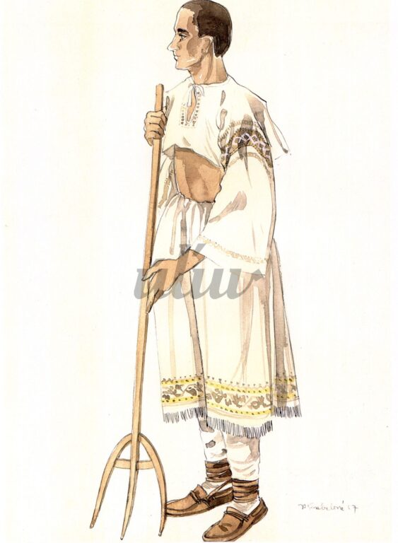 všedný odev