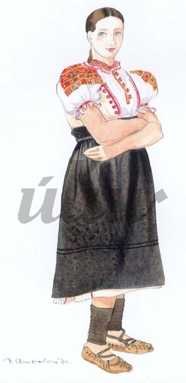 všedný odev