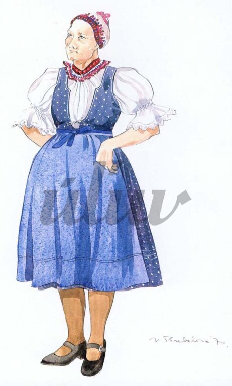všedný odev