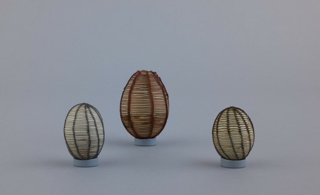 Kraslica odrôtovaná