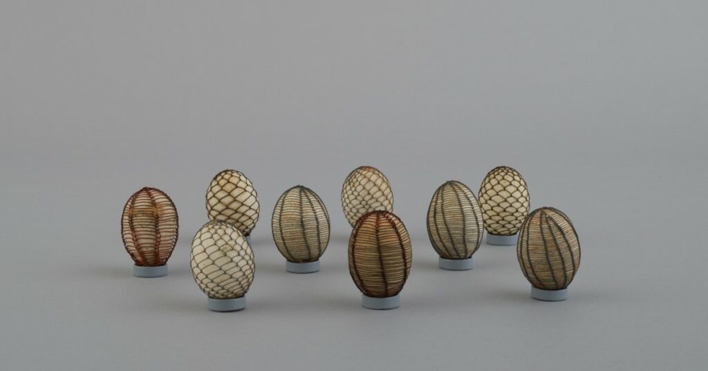 Kraslica odrôtovaná