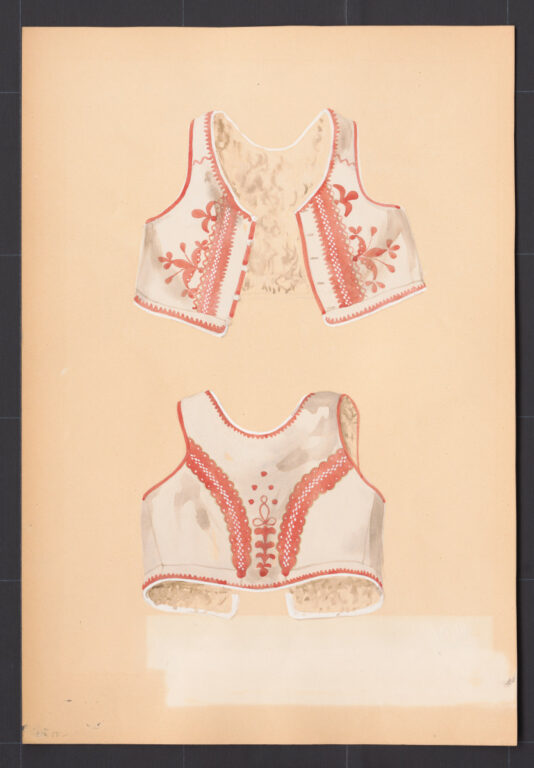 Kresba – kožuštek ženský