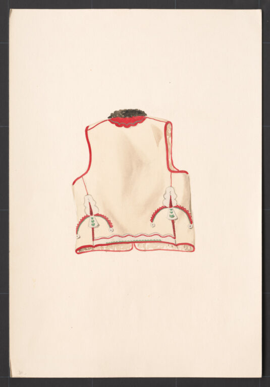 Kresba – kožuštek mužský