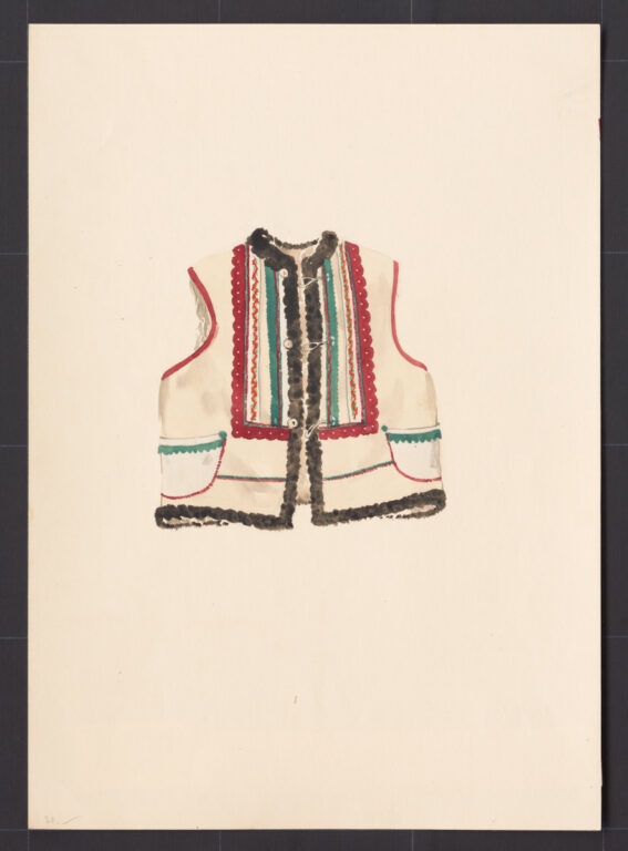 Kresba – kožuštek mužský