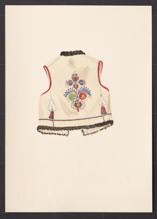 Kresba – kožuštek mužský