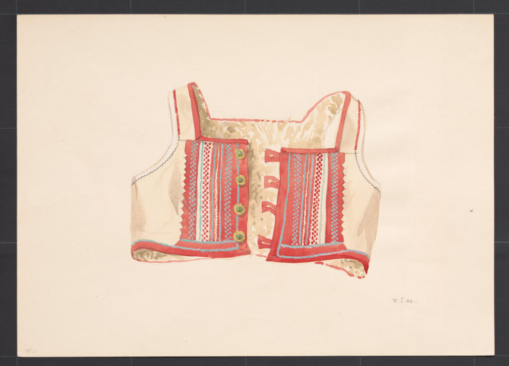 Kresba – kožuštek ženský