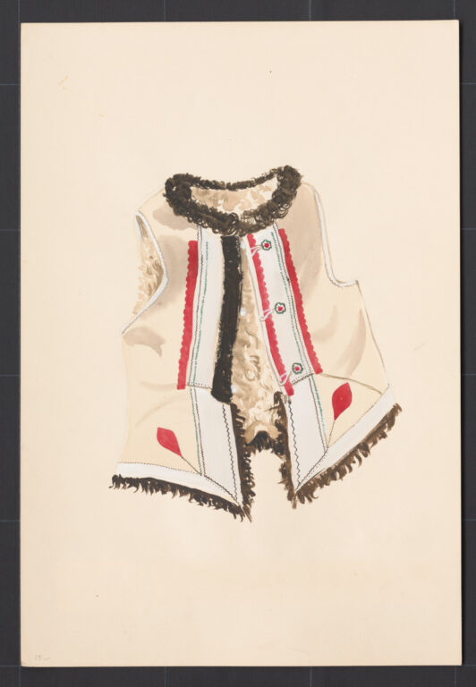 Kresba – kožuštek ženský