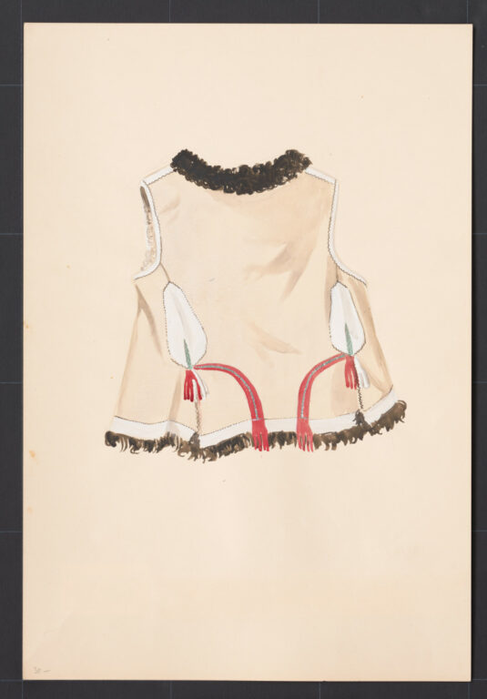 Kresba – kožuštek ženský