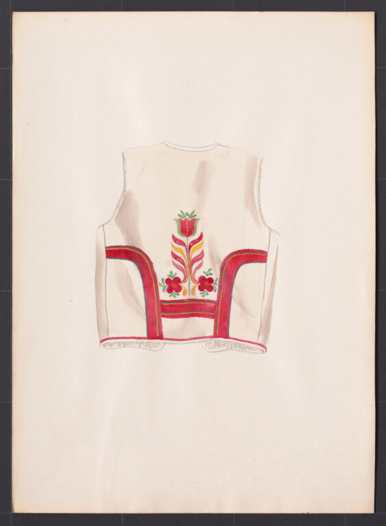 Kresba – kožuštek mužský