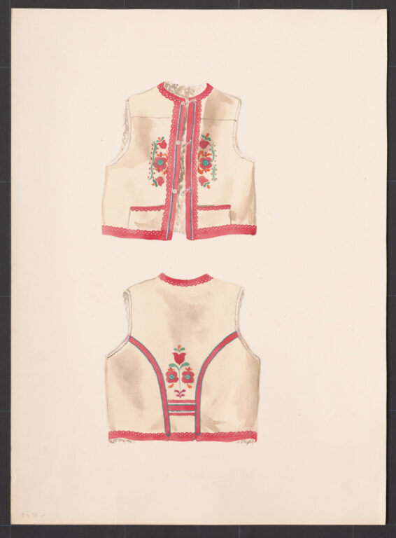 Kresba – kožuštek mužský