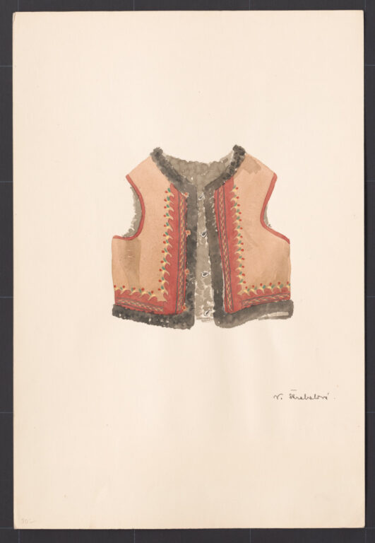 Kresba – kožuštek ženský