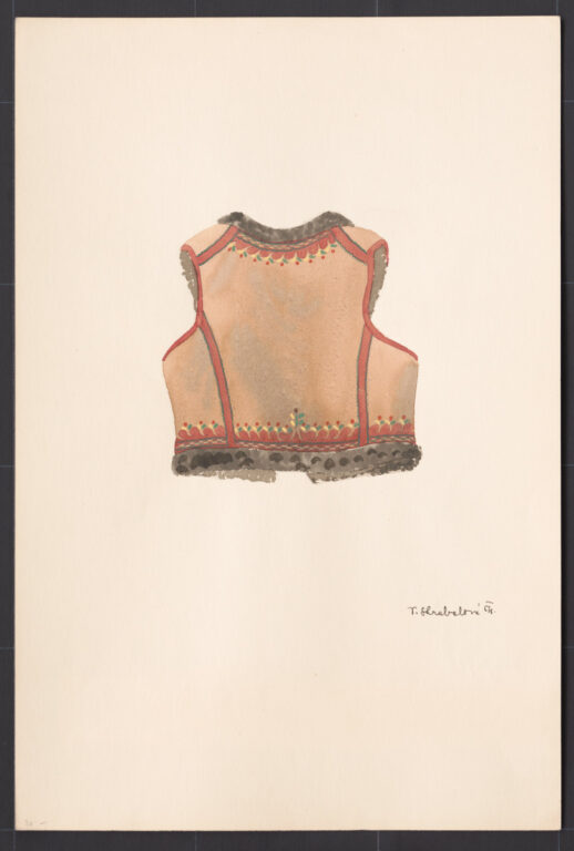 Kresba – kožuštek ženský