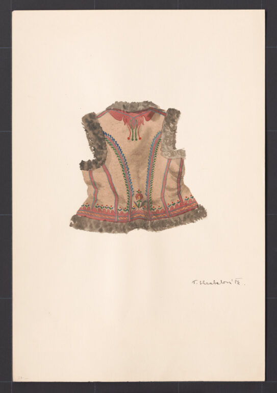 Kresba – kožuštek ženský novší