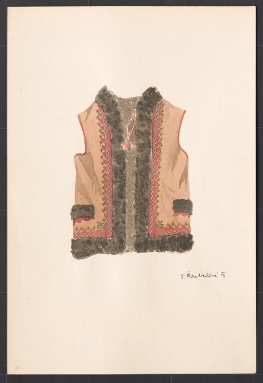 Kresba – kožuštek mužský