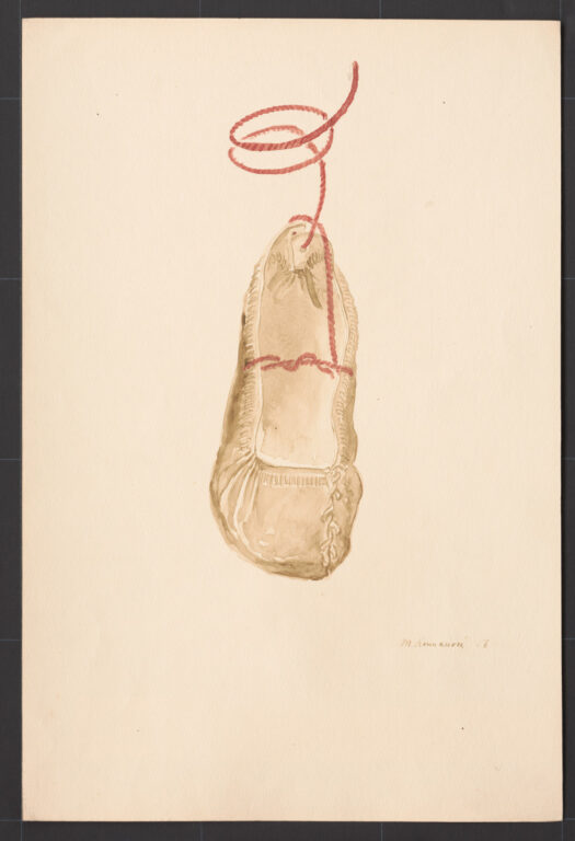 Kresba – krpec ženský – viazanie