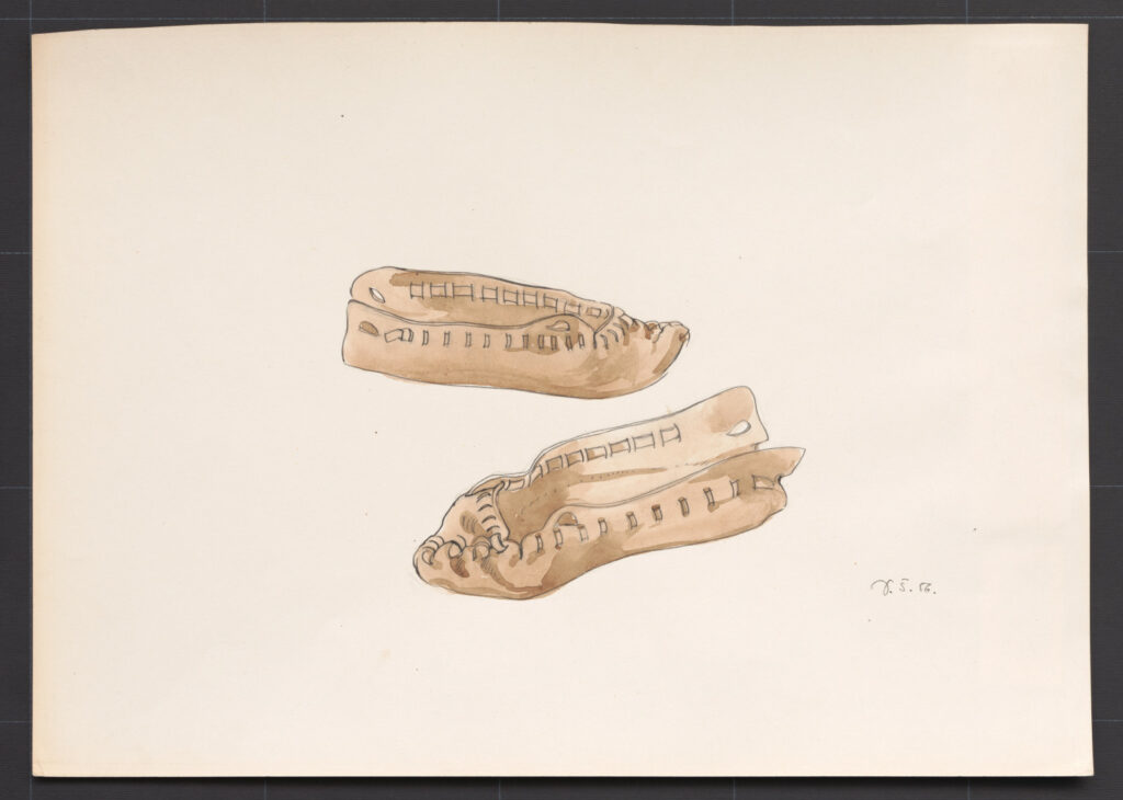 Kresba – krpce ženské