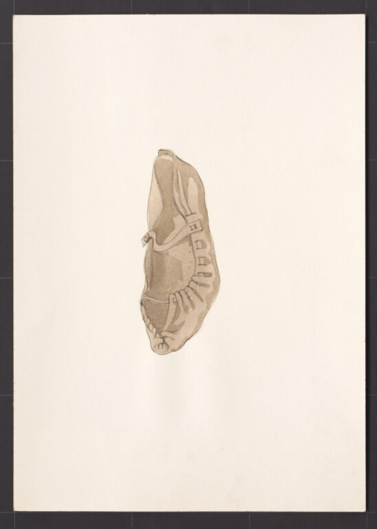 Kresba – krpec ženský