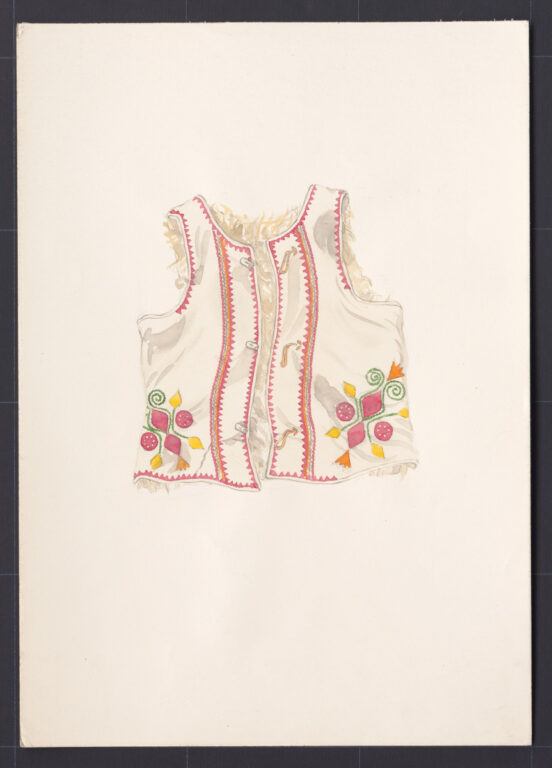 Kresba – kožuštek ženský