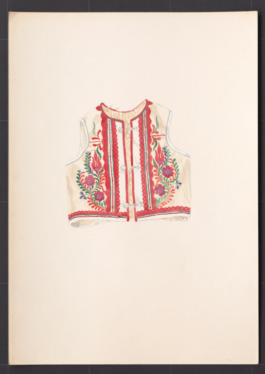 Kresba – kožuštek mužský