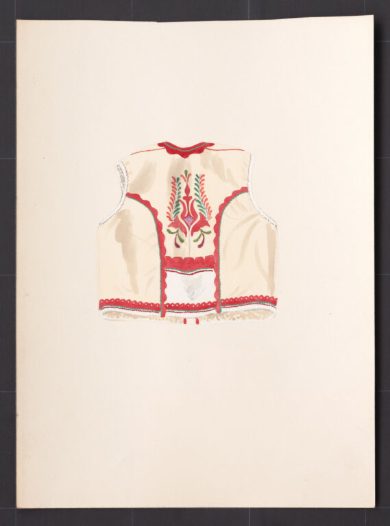 Kresba – kožuštek mužský