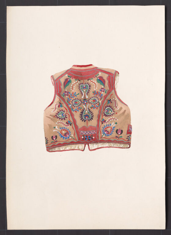 Kresba – kožuštek mužský