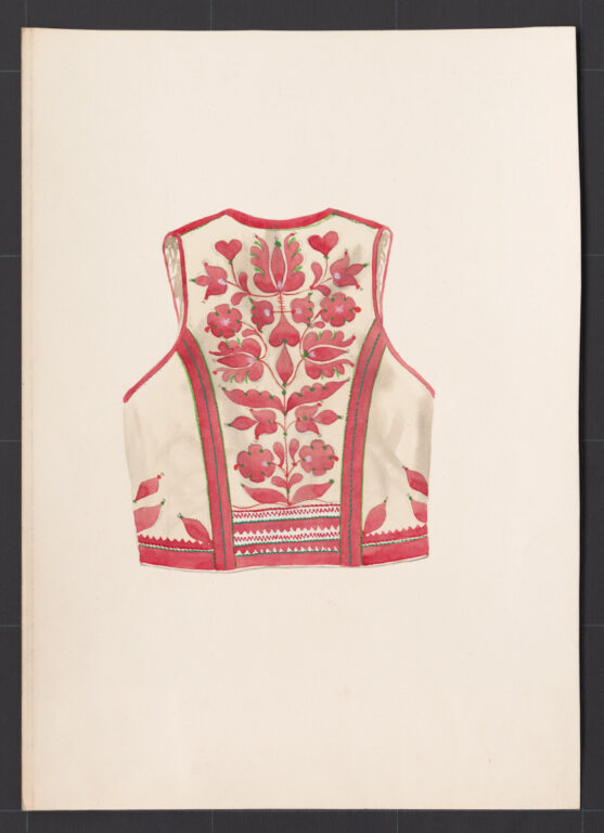 Kresba – kožuštek mládenecký