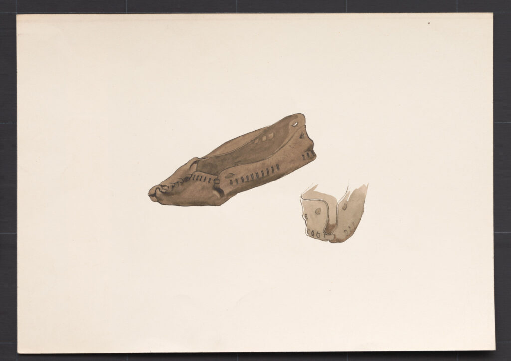 Kresba – krpec ženský a mužský