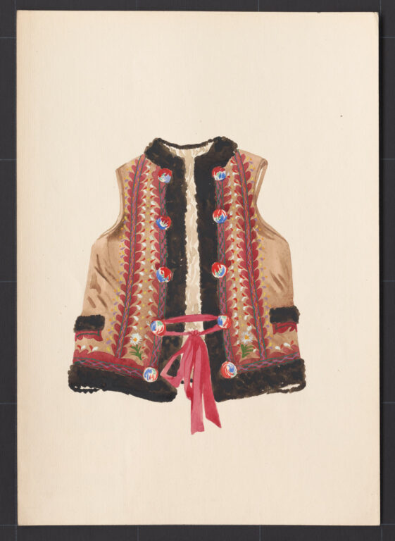 Kresba – kožuštek mužský