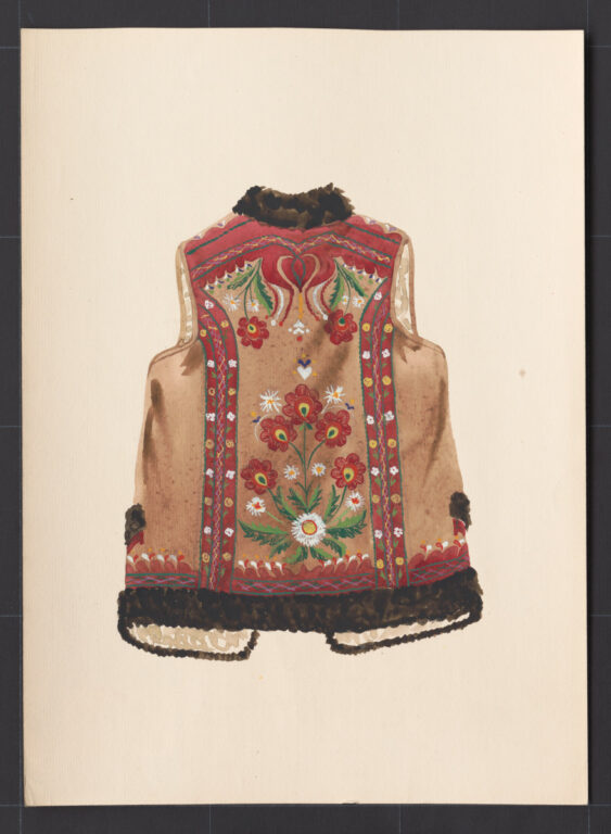 Kresba – kožuštek mužský