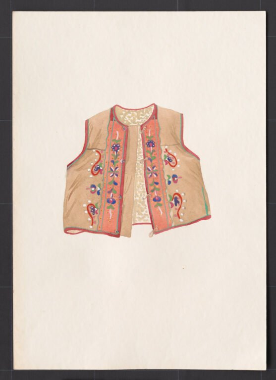 Kresba – kožuštek mužský