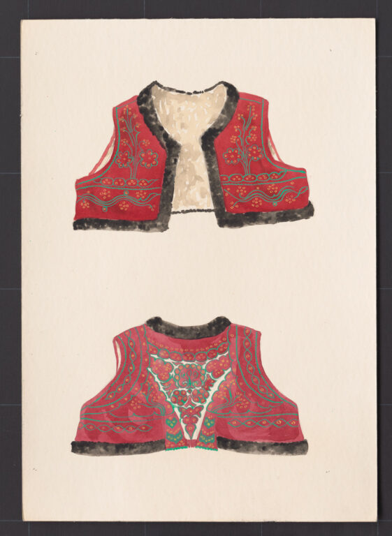 Kresba – kožuštek mužský