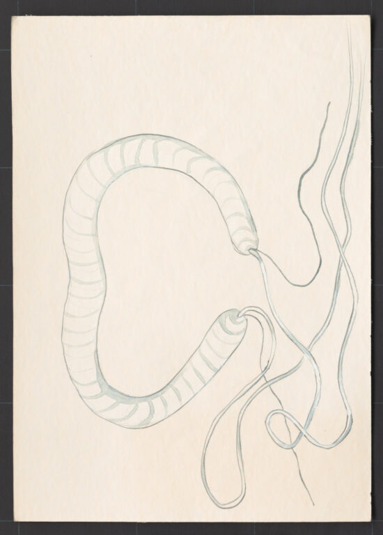 Kresba – podložka k ženskému účesu