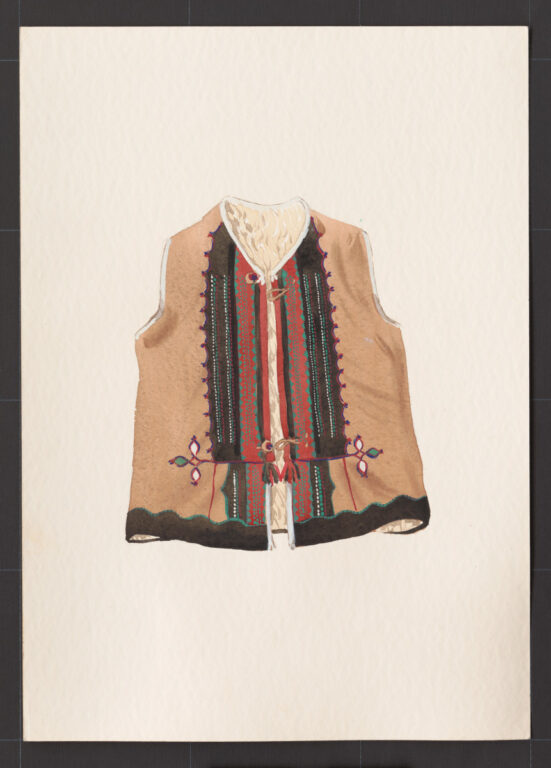 Kresba – kožuštek ženský