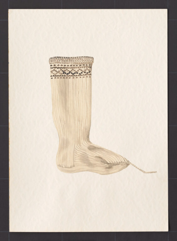 Kresba – kopytce ženské