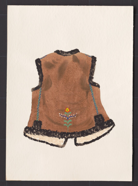 Kresba – kožuštek ženský