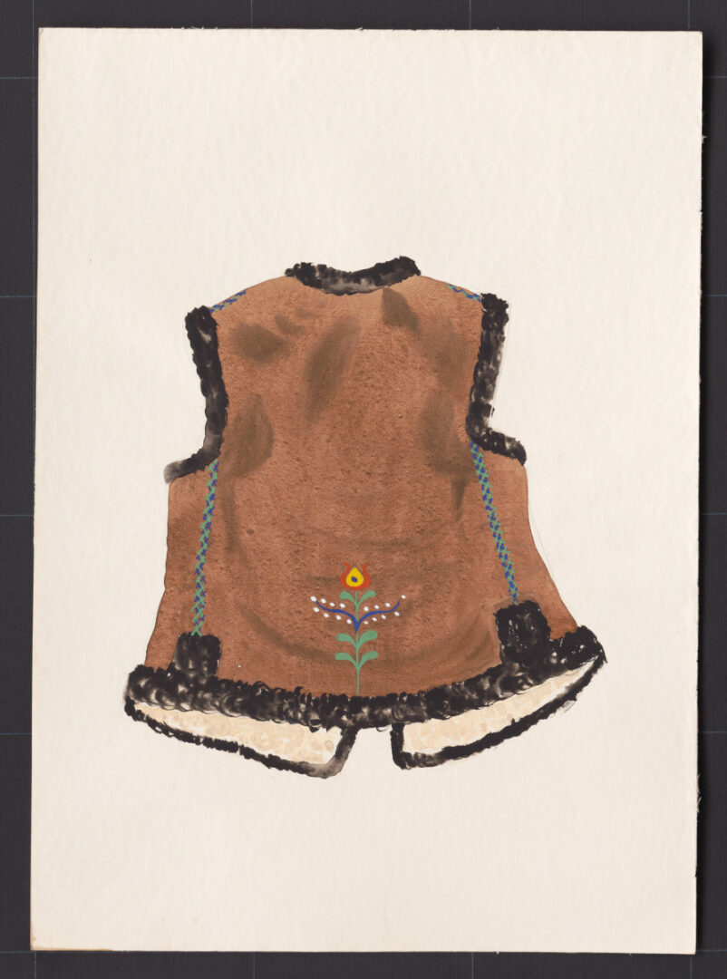 Kresba – kožuštek ženský