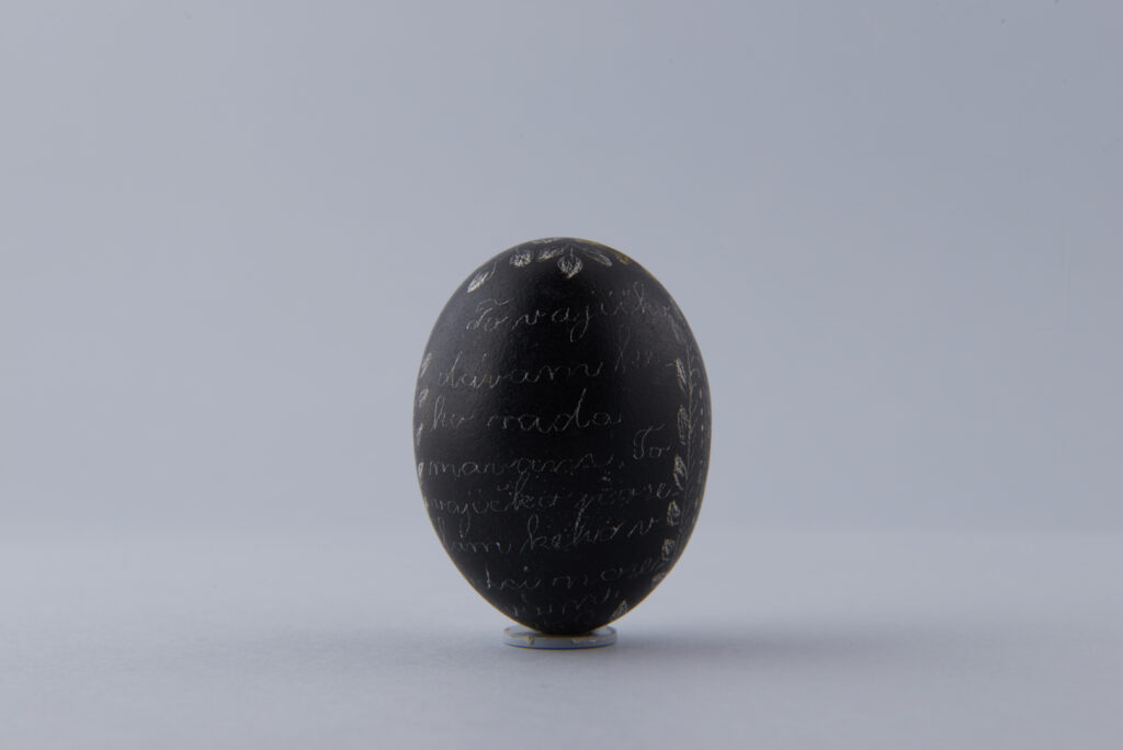 Kraslica vyškrabovaná